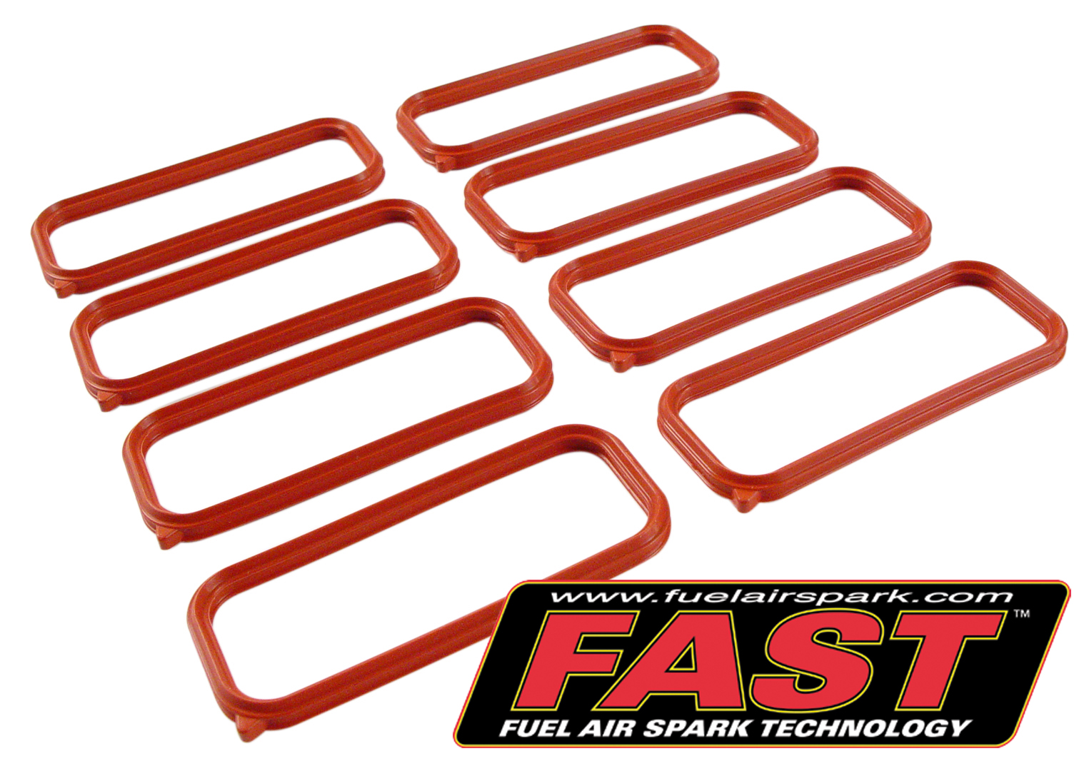 04-06 GTO LS1/2 FAST LSX Intake Port Seal Kit (Set of 8)