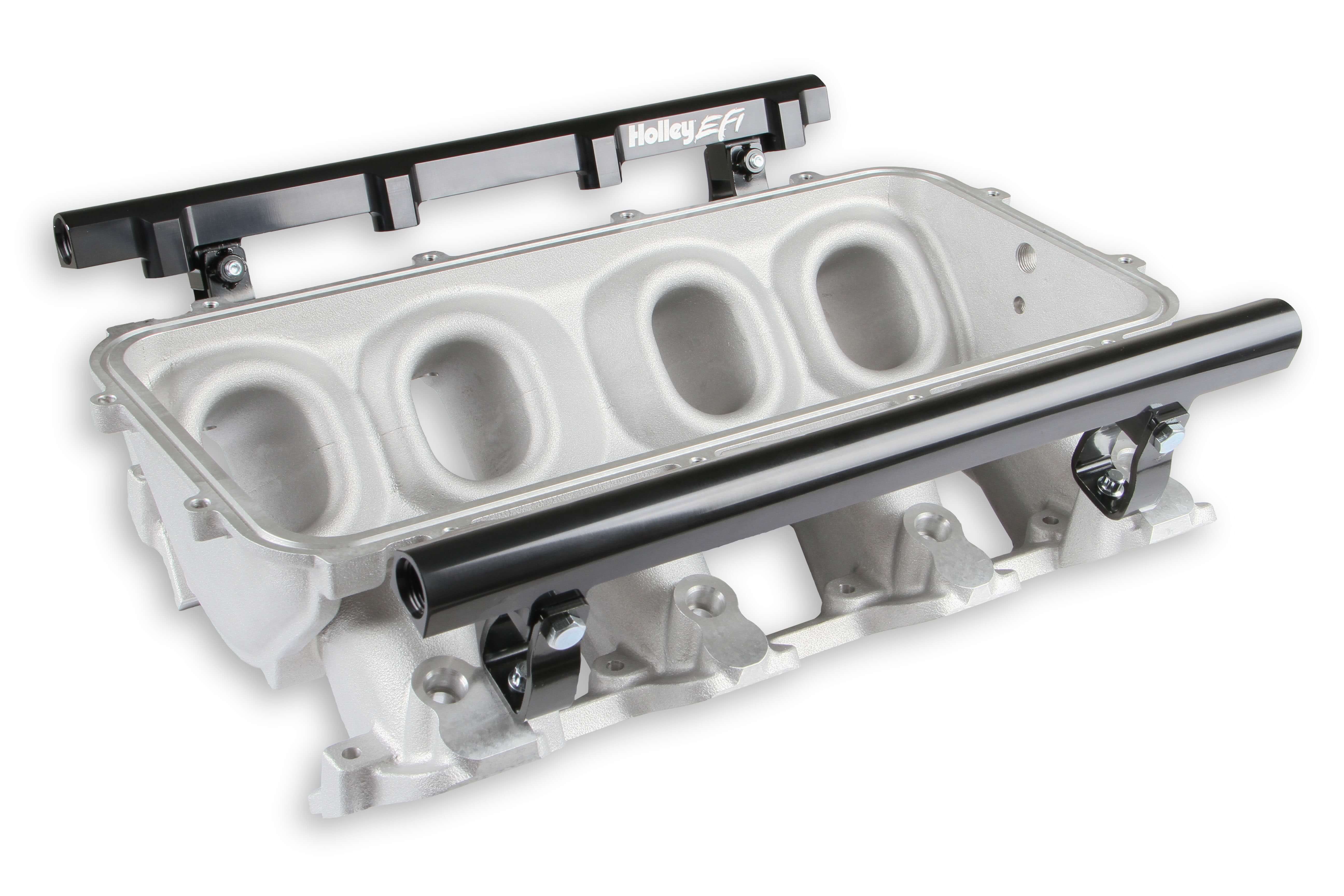 LS1/LS2/LS6 Holley Base Manifold and Rail Kit for Lo-Ram 300-620