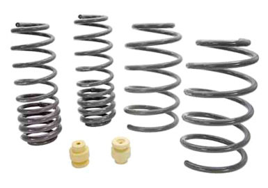 2005+ Ford Mustang Roush Performance Extreme Lowering Springs - Entire Set