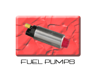 Fuel Pump and Filters